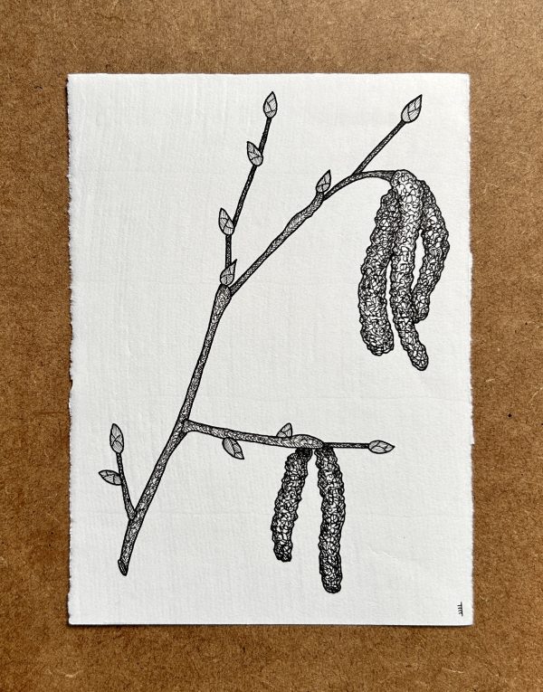 Hazel  - Original Ink Illustration