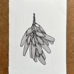 Ash Keys - Original Ink Illustration