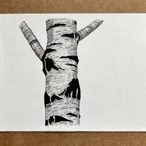 Birch Trunk - Original Ink Illustration