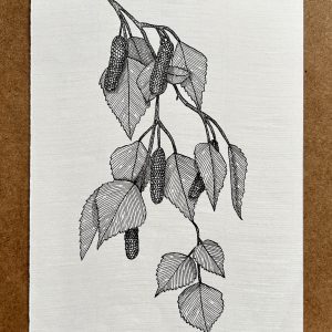 Birch  - Original Ink Illustration