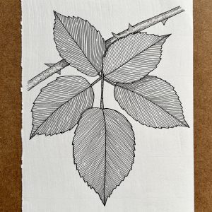 Bramble - Original Ink Illustration