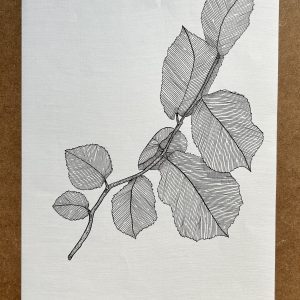 Hazel Leaves - Original Ink Illustration