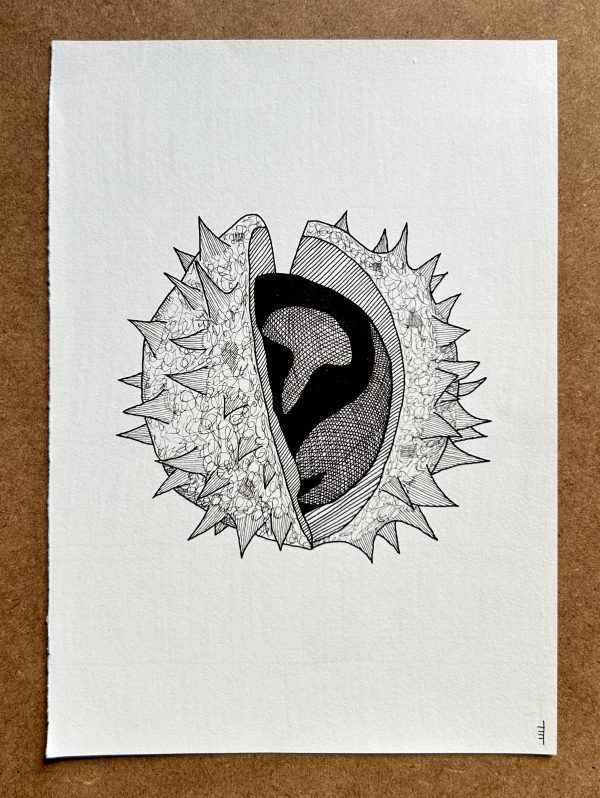 Conker - Original Ink Illustration