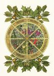 TheWheel Of The Year by Hæslwrid (Haeslwrid.com)